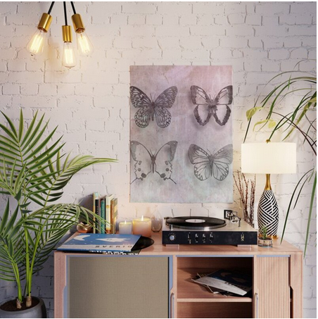 tableau papillon vintage