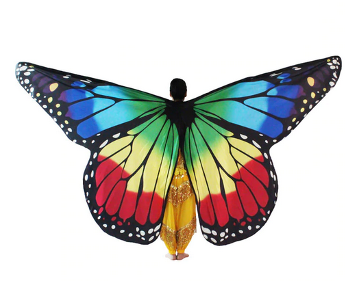 Déguisement Papillon Lumineux | Papillon Univers