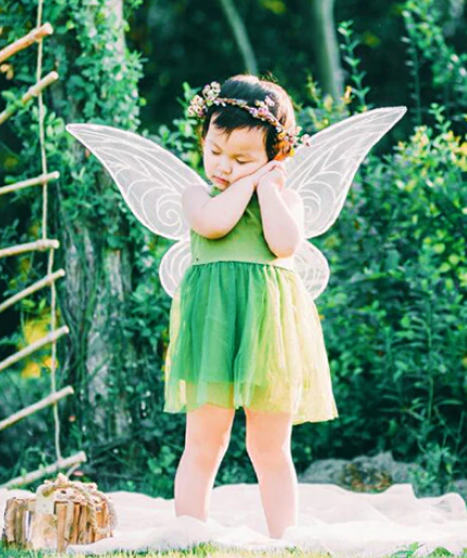 Enfant Fille Papillon Costume Déguisement Enfants Insecte Costume