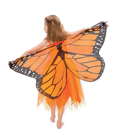 ailes de papillon pour deguisement