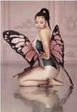 costume papillon sexy