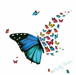 sticker mural papillon garcon