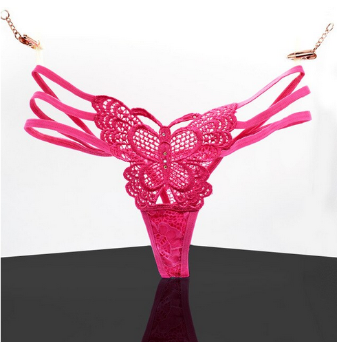 String Rose Papillon Papillon Univers